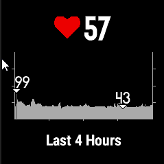 Heartbeat Garmin Fenix 5