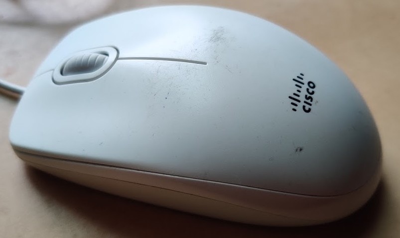 Normal Mouse