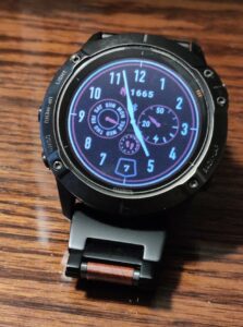 Garmin fenix hotsell 6x plus