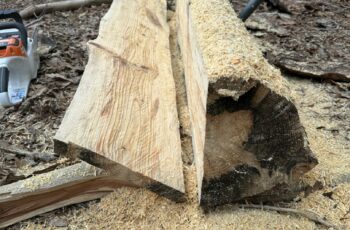 Make planks with a Chainsaw